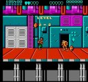 Battletoads Double Dragon - The Ultimate Team (NES)