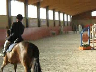 Alessandro Scapuzzi salto ostacoli Tortona C.I. Pompeiana