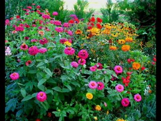 aimer c'est tout  changer