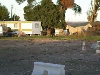 Une journée comme les autres...