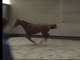 Miniature DailyMotion