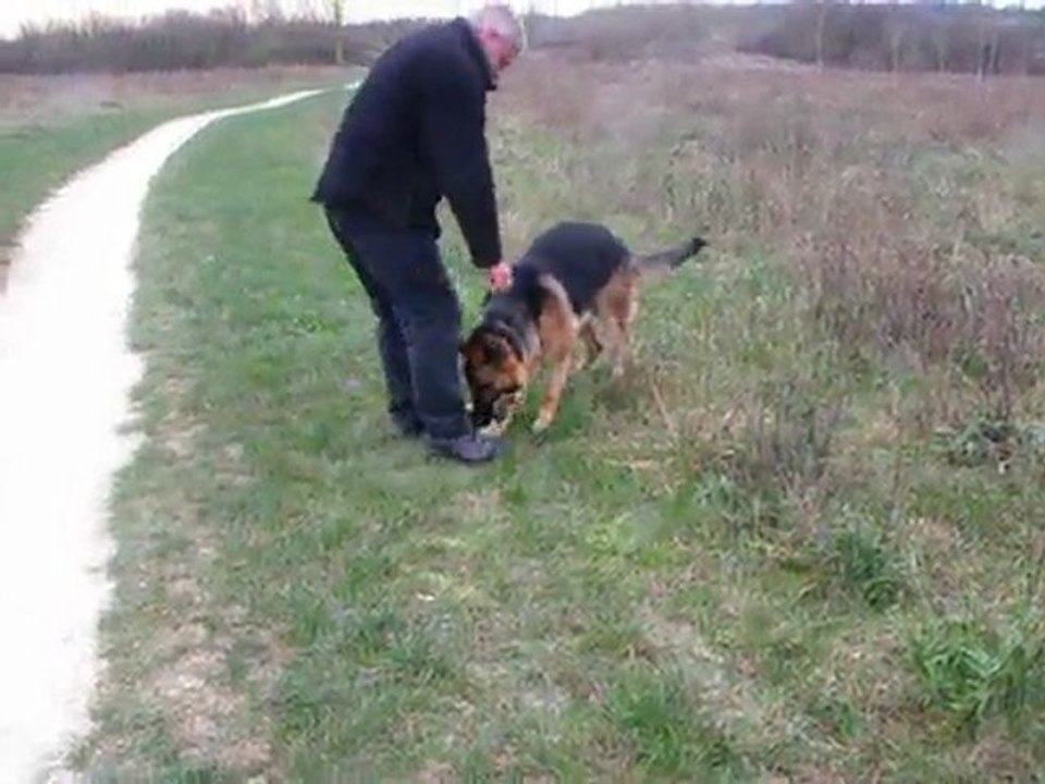 CISKO joue avec son maitre