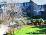 Arbor Hills Apartments in Des Moines, WA-ForRent.com