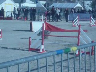 tailee martigue deg 2