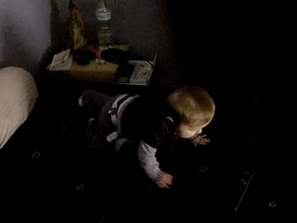 Premier vrai 4 pattes