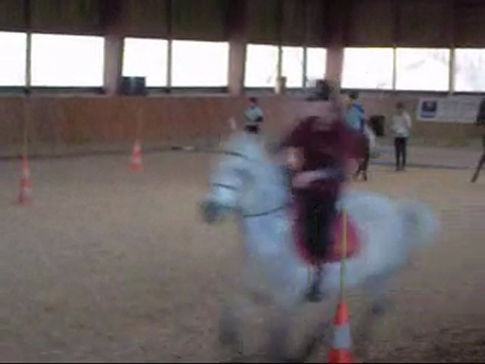 facteur 13 decembre pony games