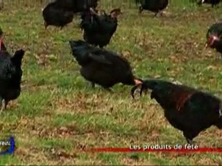 Le chapon sur vos tables de fête (Challans)