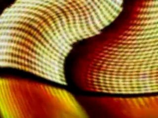 DJ CC Jung - Punky Reggae (primitive vibration of life)