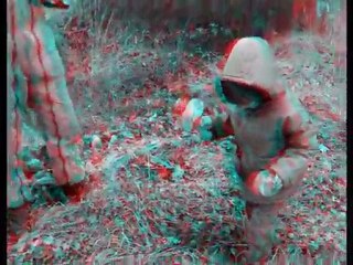 3D Anaglyphe - Victor cherche des cèpes (test 02)