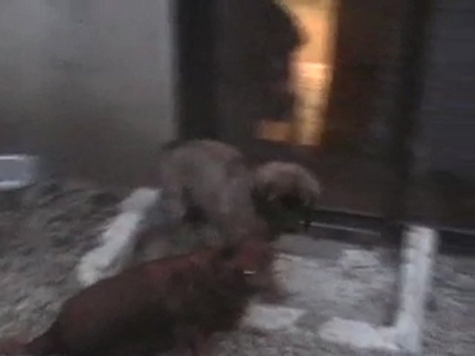 BB ATLAS DU 05 10 AU 15 12 09