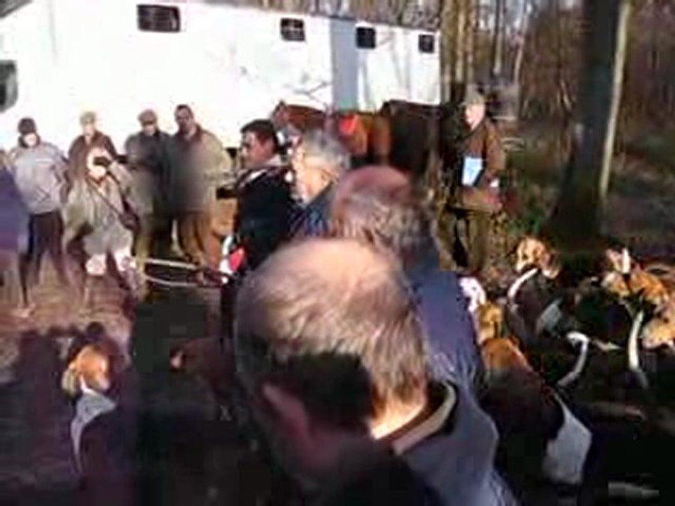 CHASSE A COURRE 1 : Le rapport