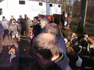 CHASSE A COURRE 1 : Le rapport