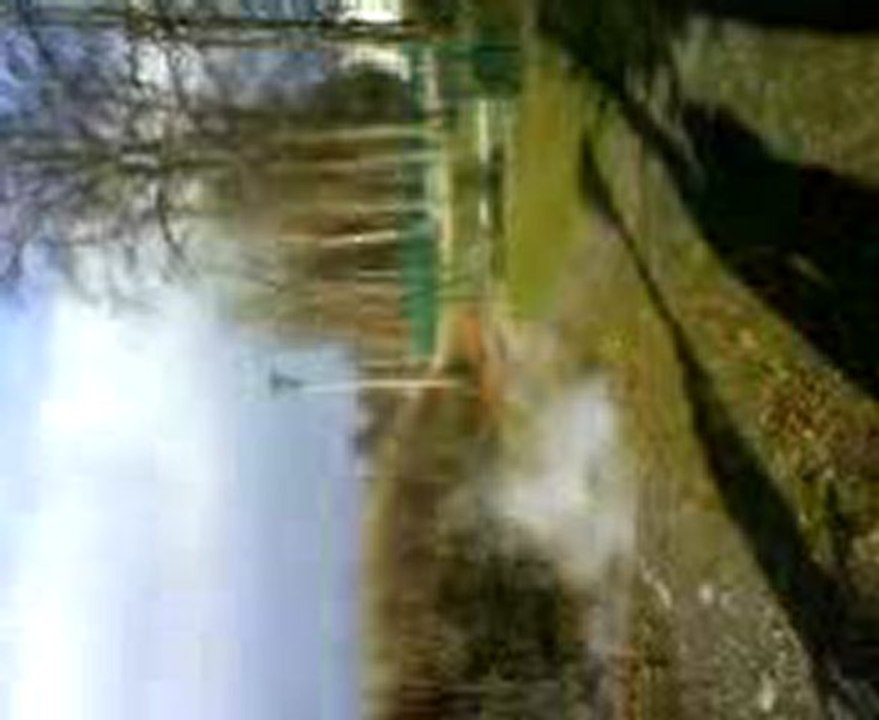 Test 2 Aluminium + Acide Chlorhydrique