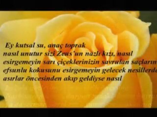 Nevin Konuk - Şiir