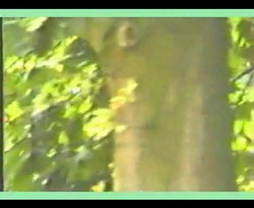 12 ans de Sylvaine 1990