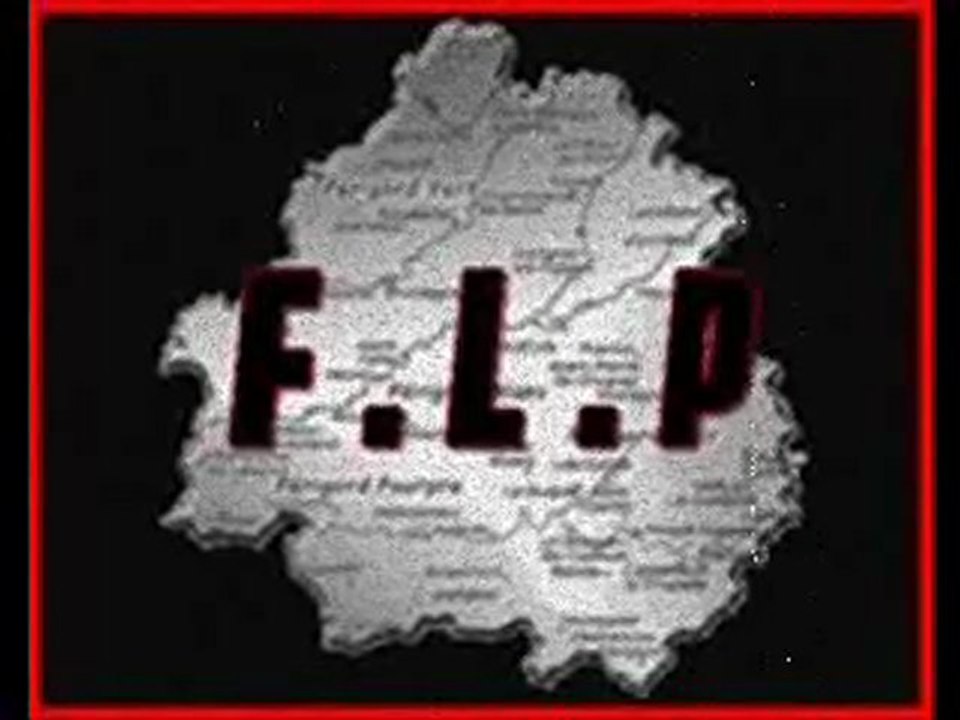 Radio F.L.P