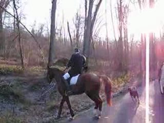 CHASSE A COURRE 4 : le passage de route