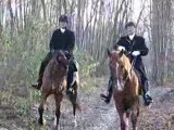 CHASSE A COURRE 5 : les cavaliers ralliant la chasse