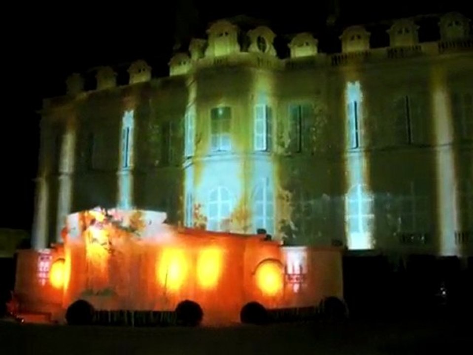 Fête des lumières 2009, vizuel 2