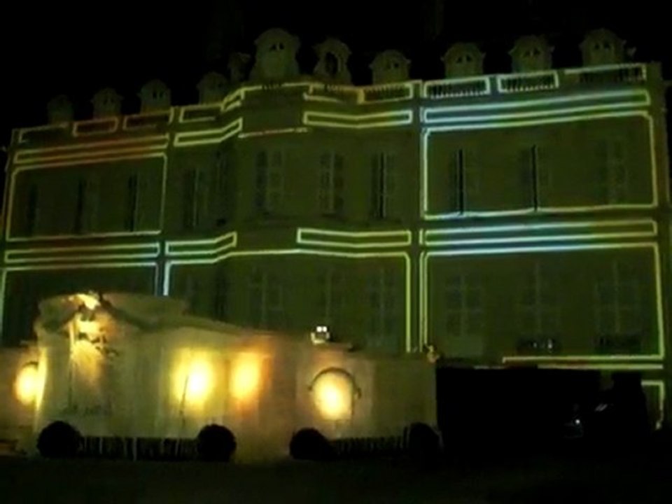 Fête des lumières 2009, vizuel