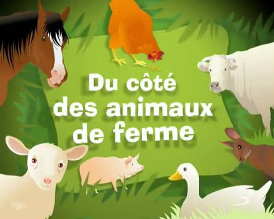 Video animaux de ferme