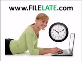 No tax accountant needed: File 2003 taxes online
