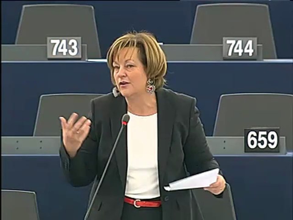 Nathalie Griesbeck on Draft amending budget