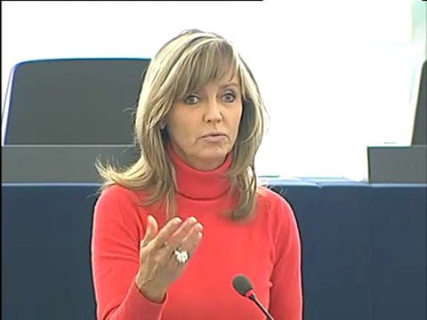 Frédérique Ries on Question Hour