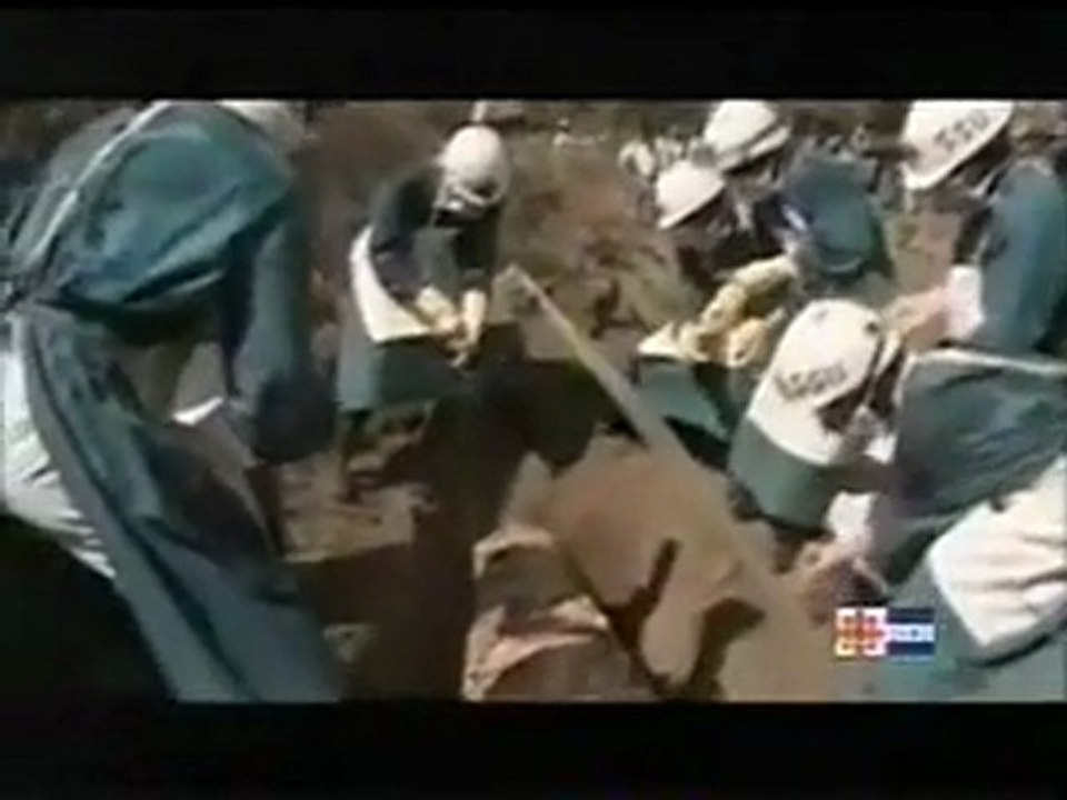 Guerre biologique 1-3