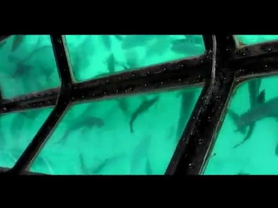 Nouvelle-calédonie: Phare Amédée