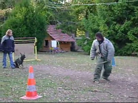 EDENE DE LA CITE DES LOUPS GRIS