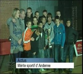 Mérite sportif 2009