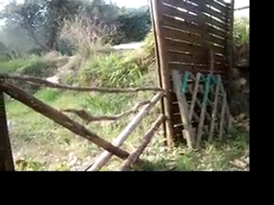 tyna et l'agility