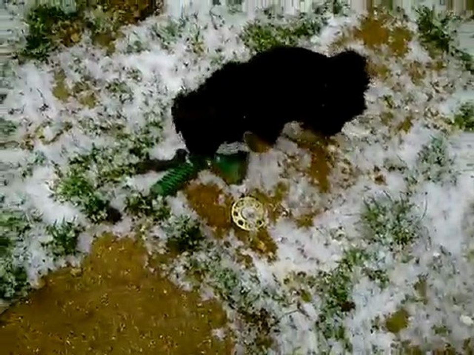 CLIP0024