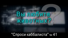 Вы любите животных?