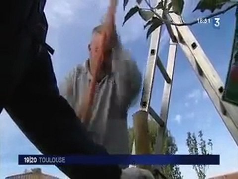 A Toulouse, une gestion durable des espaces verts 2/4