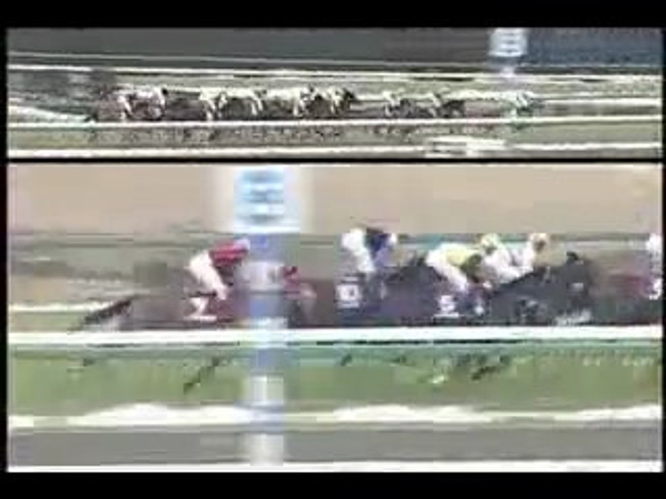 2005 YAYOISHOU deepimpact