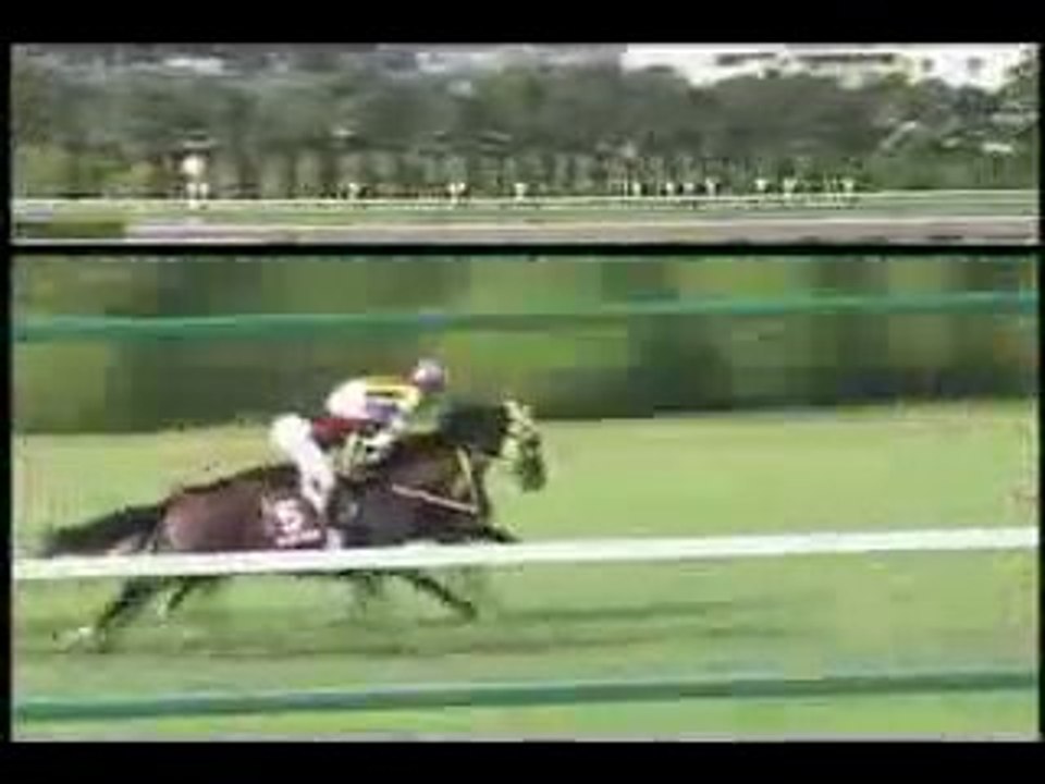 2005 KOUBESHINBUNHAI deepimpact