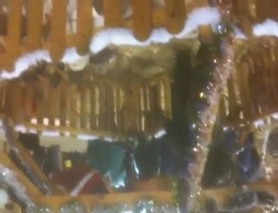 Allier: La foire aux dindes de Jaligny