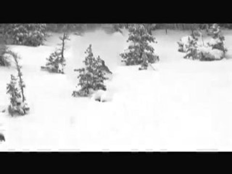 Extreme Freeride Ski