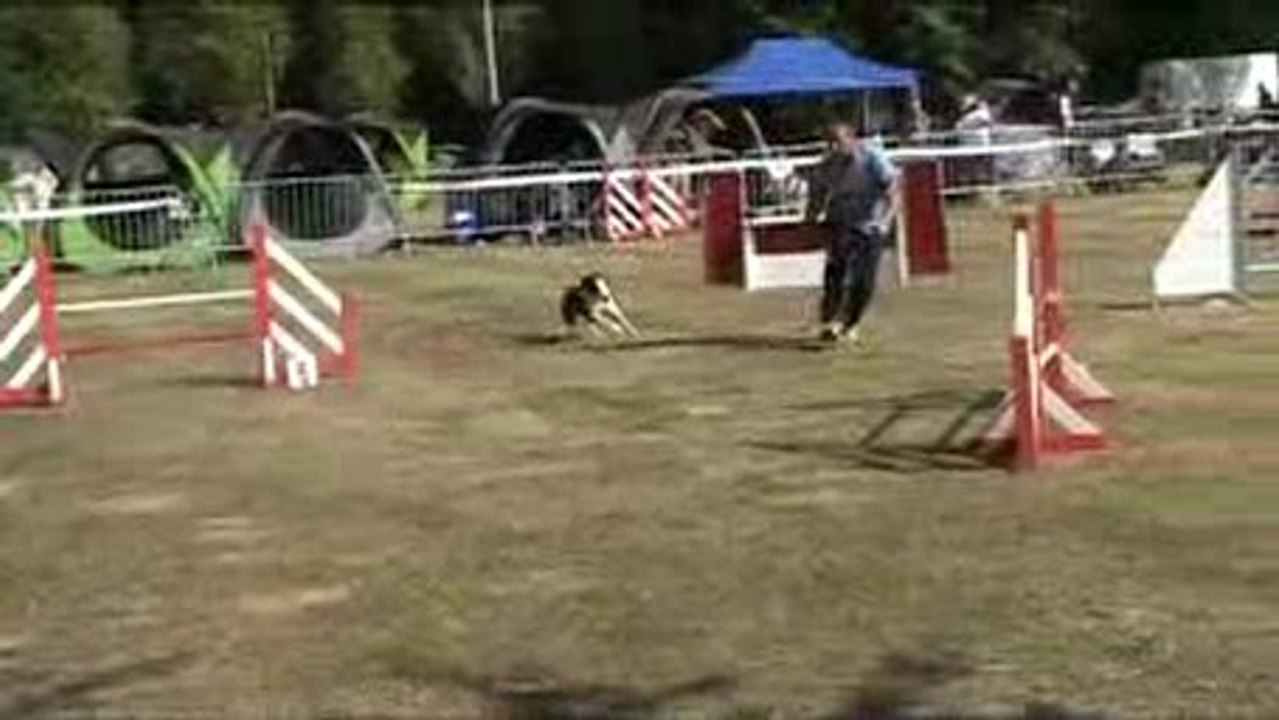 jumping agility rennes 06/06/09