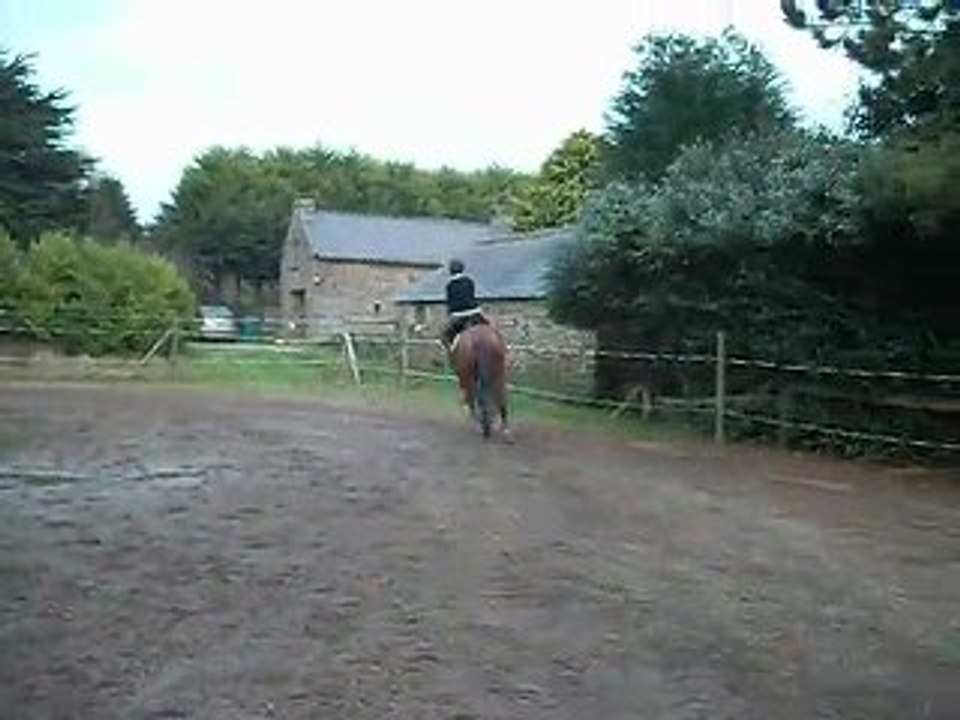 Willou à l'obstacle