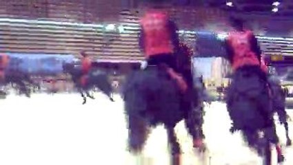 equitalyon 2009 merens laurent hustache