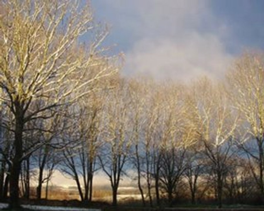 climate justice  lycée V. Considerant1 tck tck tck
