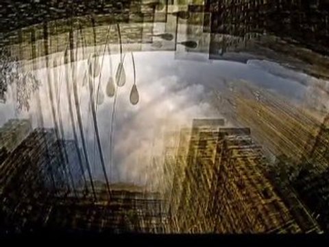 Photographe Jean-Francois Dupuis