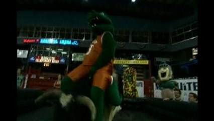 Gator Talks About Gator