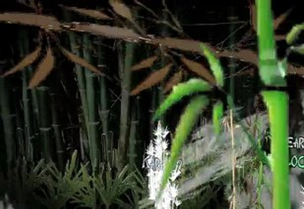 Learn Something New Everyday Here