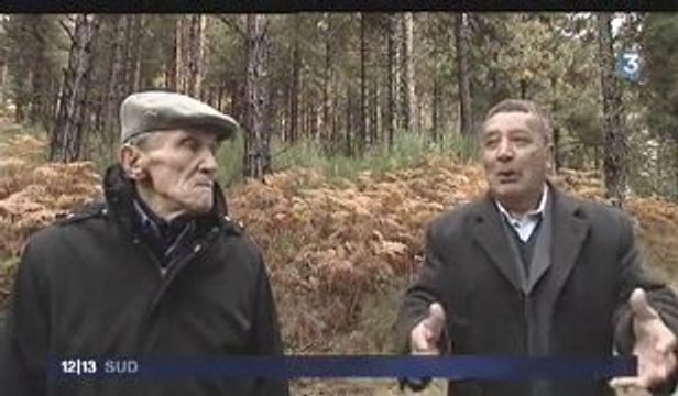 FR3 Languedoc-Roussillon - 12 décembre 2009 - harkis