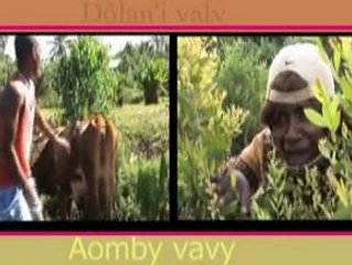 Groupe Avaizo Dolan'i Valy