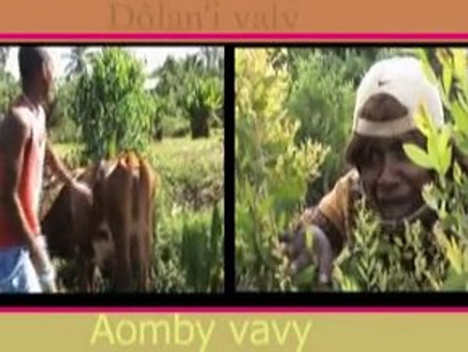 Groupe Avaizo Dolan'i Valy